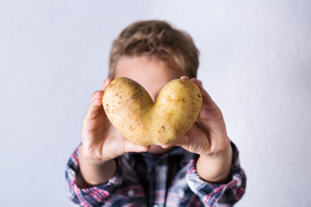 Trendy ugly vegetable, heart shaped potato in hands