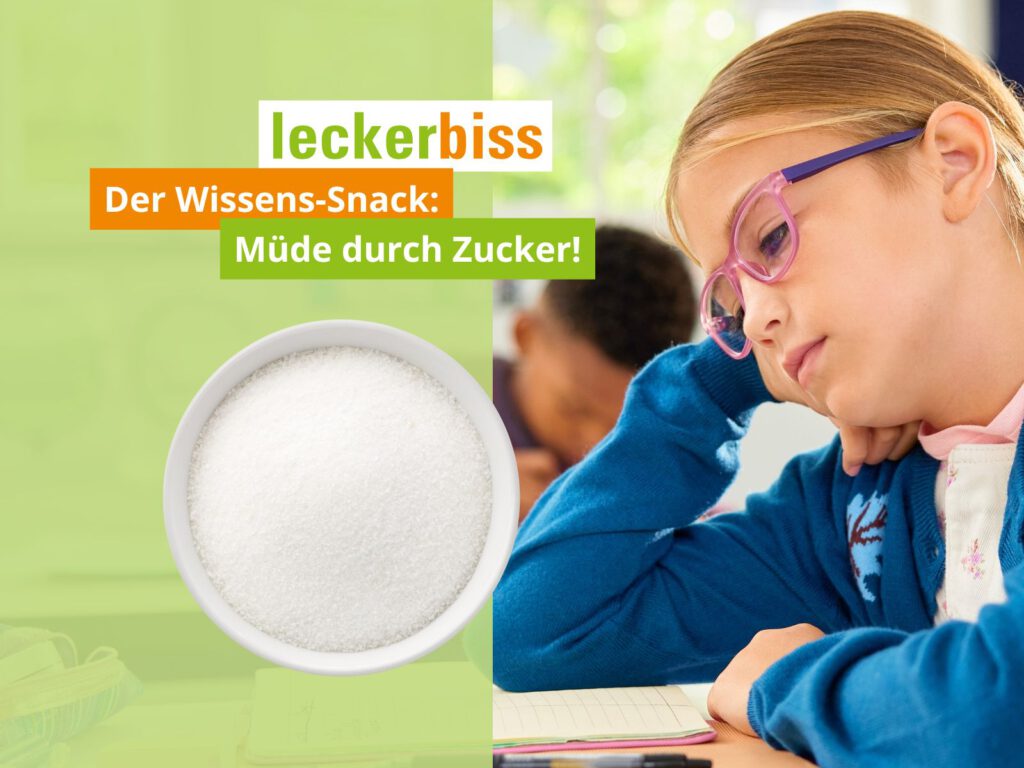 Schülerin mit Buch und Teller – Wissens-Snack: Müde durch Zucker