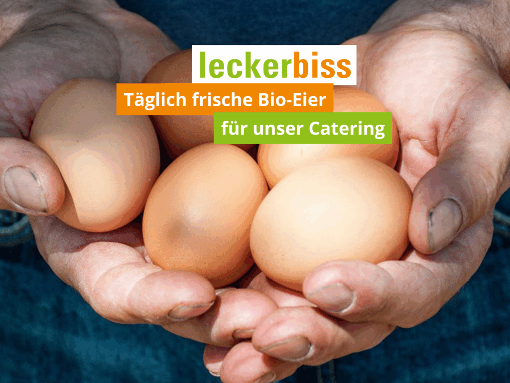 Frische Bio-Eier in Händen gehalten – Zutaten für nachhaltiges Catering