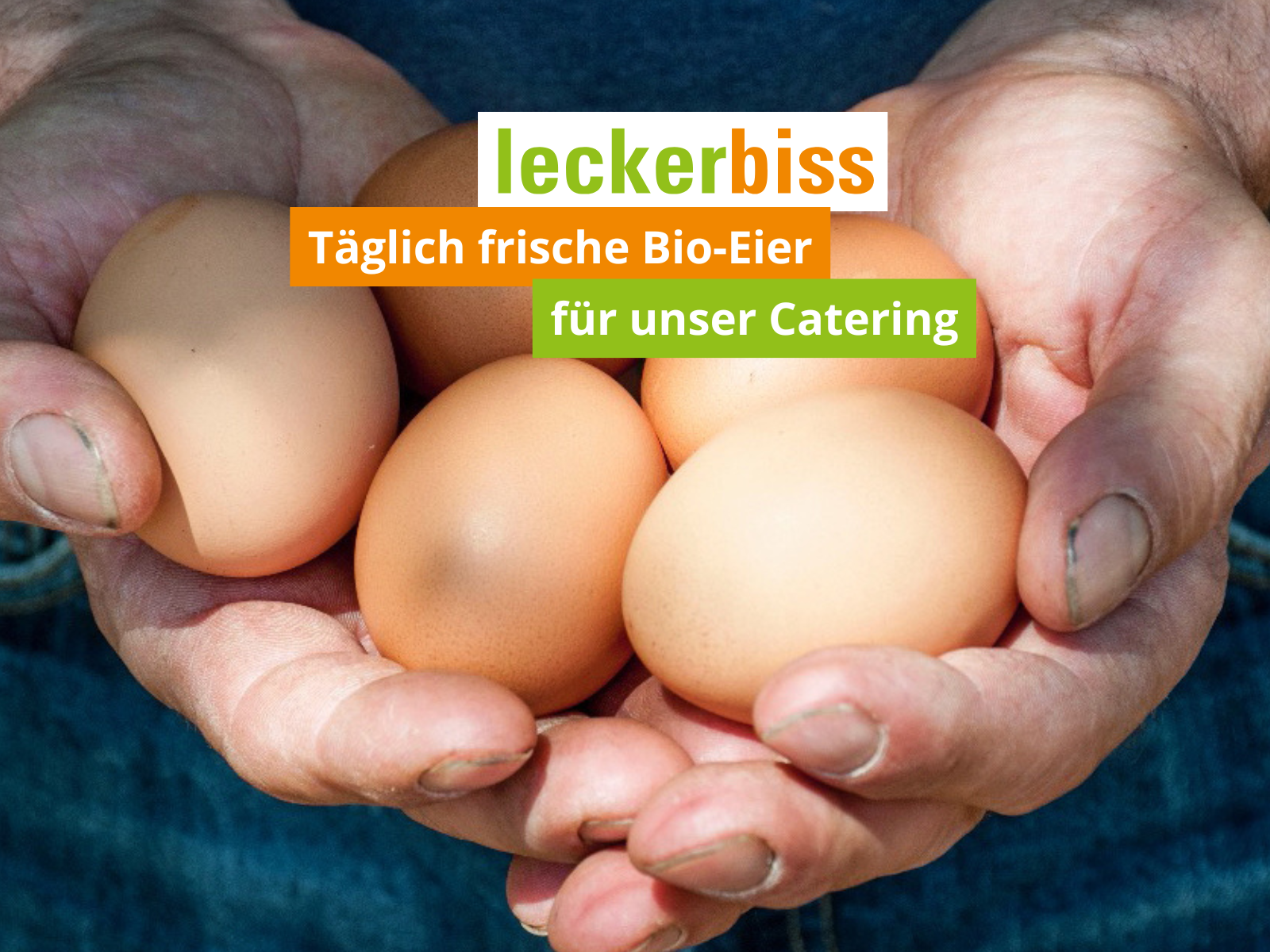 Frische Bio-Eier in Händen gehalten – Zutaten für nachhaltiges Catering