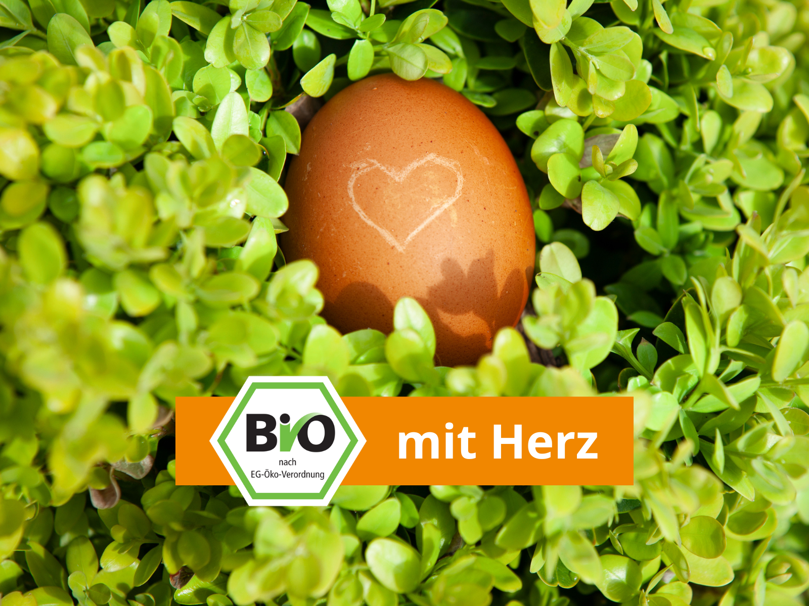 leckerbiss - Essen mit Herz