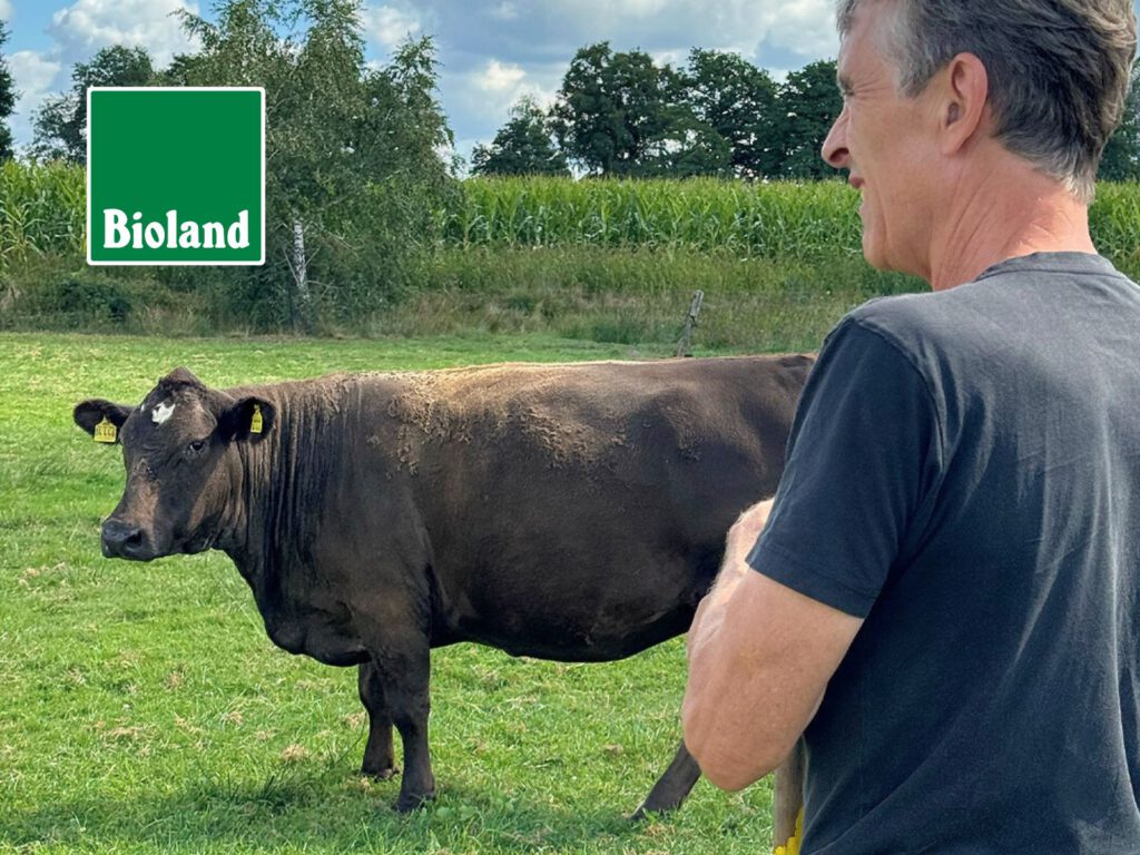 Gruß vom Hof in Worpswede