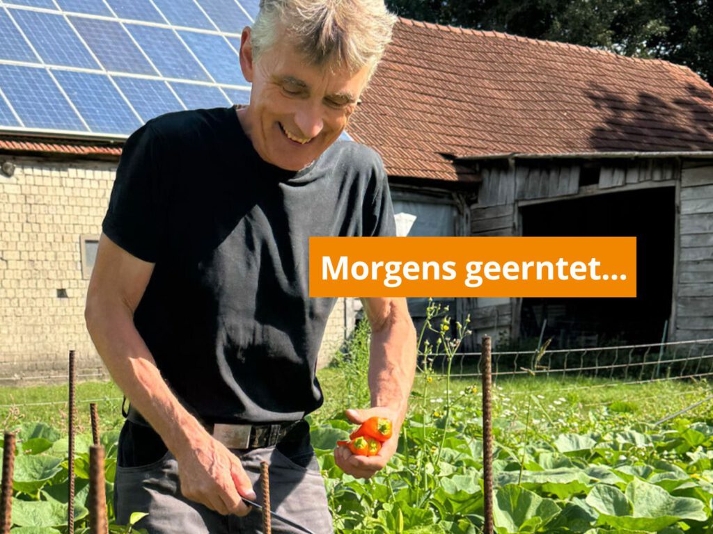 Bei leckerbiss wird morgens frisch geerntet