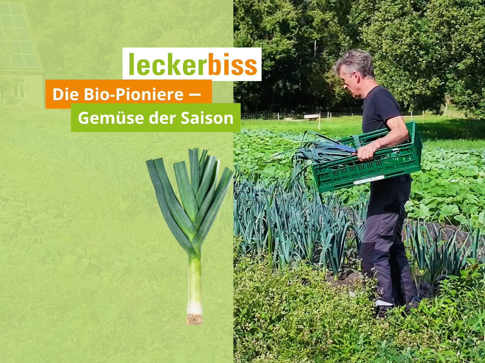 Herbstlauch-Zeit bei leckerbiss