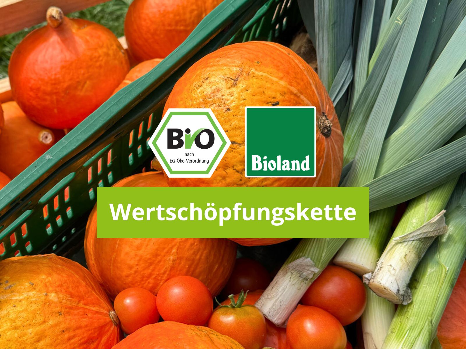 Morgens geerntet, mittags auf den Tisch